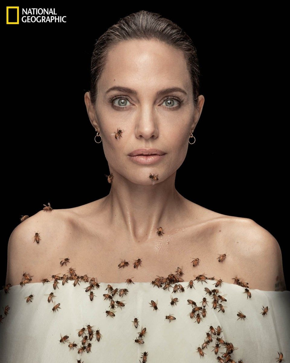 Angelina Jolie 18 dakika hiç kıpırdaman arılarla poz verdi! Sebebi ise... - Sayfa 2