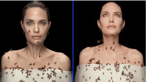 Angelina Jolie 18 dakika hiç kıpırdaman arılarla poz verdi! Sebebi ise... - Sayfa 4