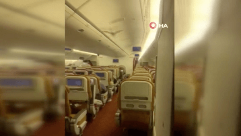Yolcu uçağındaki yarasanı yarattığı panik uçağı indirtti! video