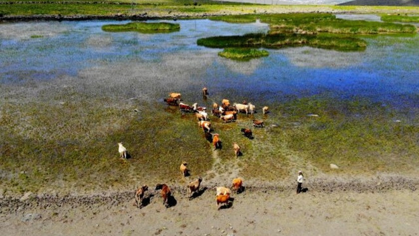 Erzurum'da göller bir bir kuruyor, sular azalıyor