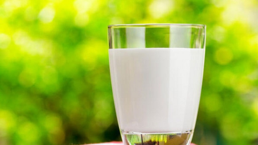 İnek sütü, insanları koronavirüse karşı koruyabilir