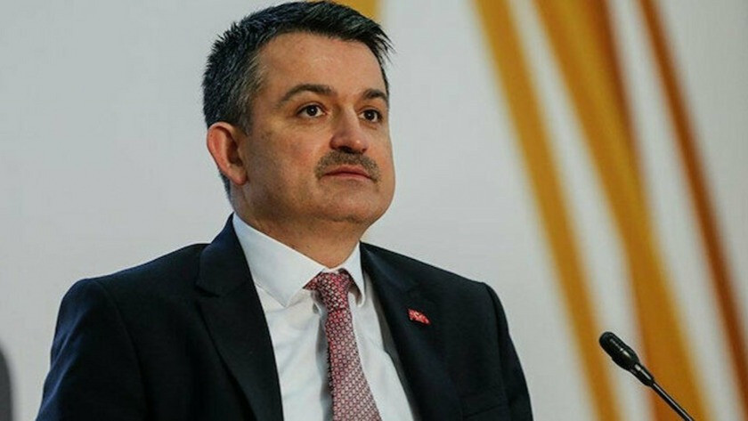 Pakdemirli: 158 milyon liralık destek ödemelerine bugün başlıyoruz