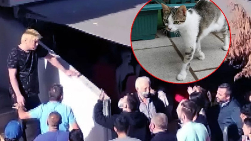 Kedi yediğini itiraf eden Japon vatandaşı sınır dışı edilecek