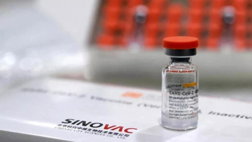 Sinovac aşısı geldi mi, randevular açıldı mı? İşte sinovac aşısında son durum...