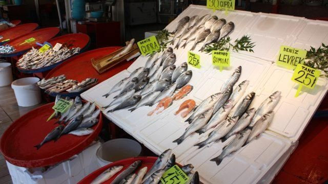Balıkçılar dertli! Müsilaj sorunu balık satışlarını olumsuz etkiledi! - Sayfa 2