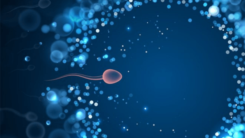 BioNTech  sperm sayısını mı azaltıyor? Biontech aşısı kısırlık yapıyor