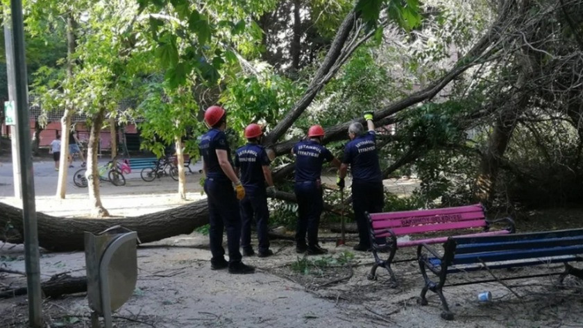 Çocuk parkında korku dolu anlar!