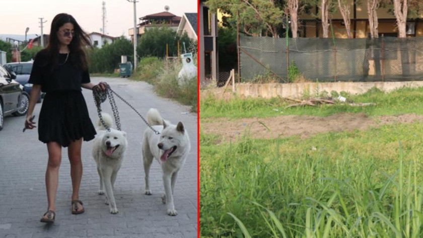 Köpekler, parçalara ayrılmış iki cansız beden buldu