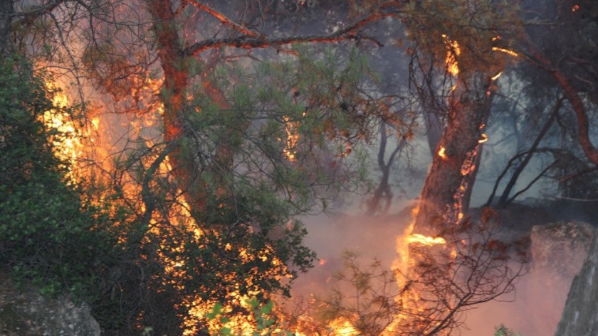 Foça'daki orman yangını saatler sonra kontrol altına alındı