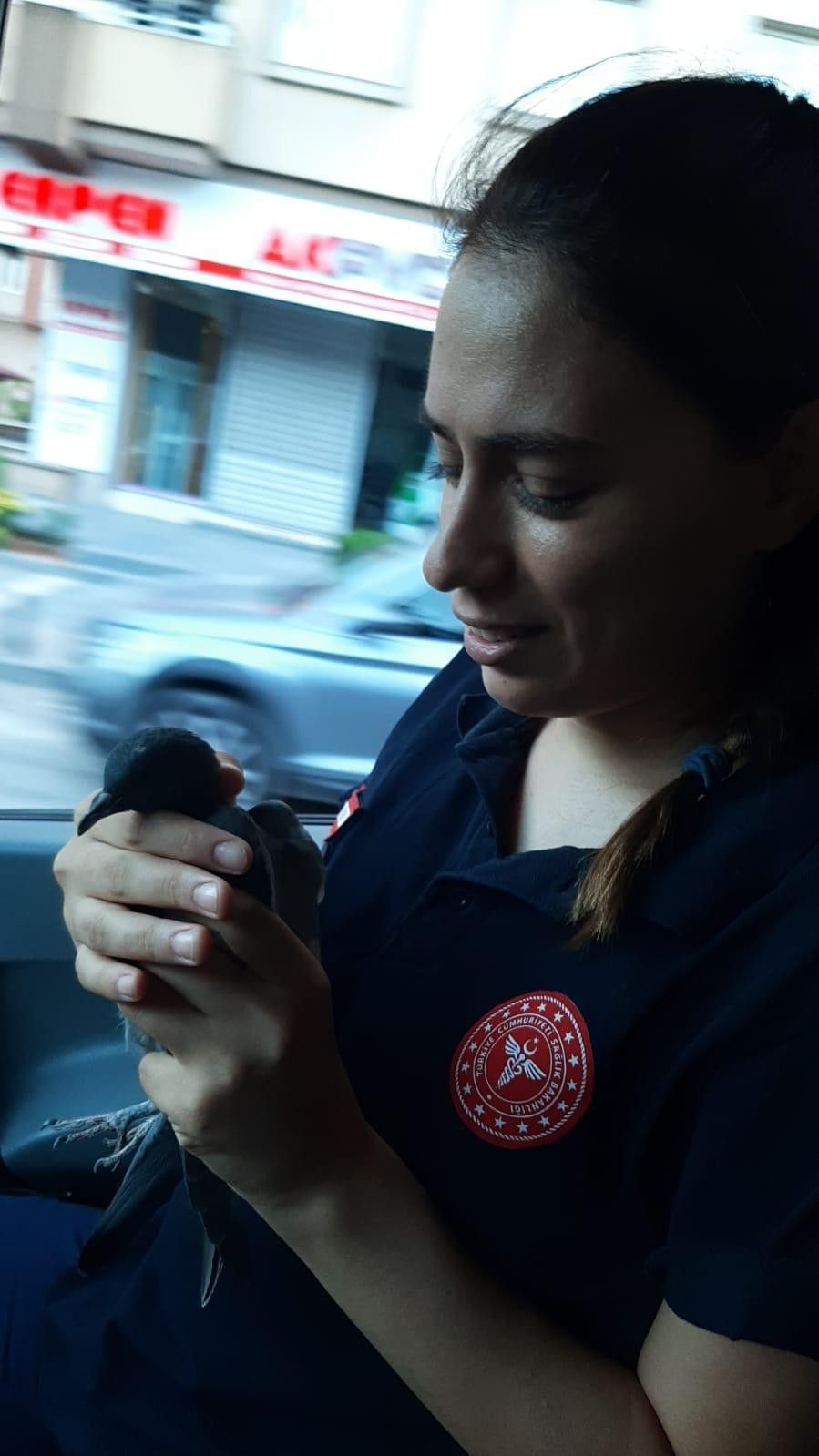 Fahrettin Koca’nın güvercini tedavi eden görüntülerini paylaştığı sağlık ekibi konuştu! video - Sayfa 4