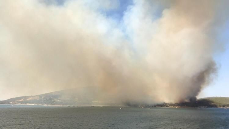 Bodrum'dan vahim görüntüler! Alevler 5 yıldızlı 2 otelin bölümlerine sıçradı - Sayfa 4