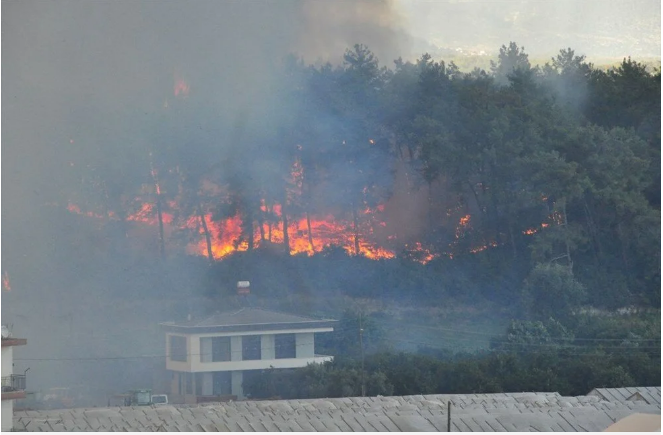 Manavgat'taki yangının boyutu gün ağarınca ortaya çıktı! İşte yürek burkan kareler... - Sayfa 2