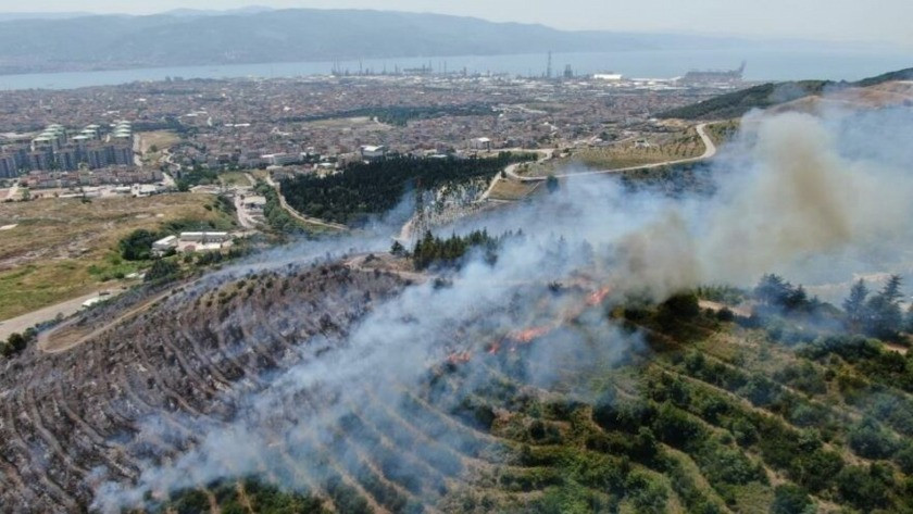 Kocaeli'de yangının çıkış nedeni belli oldu! 20 dönümlük orman...