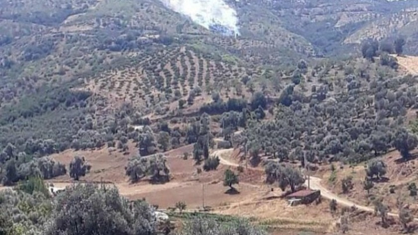Bir yangın haberi de İzmir Kiraz'dan İşte il il yangınların son durumu