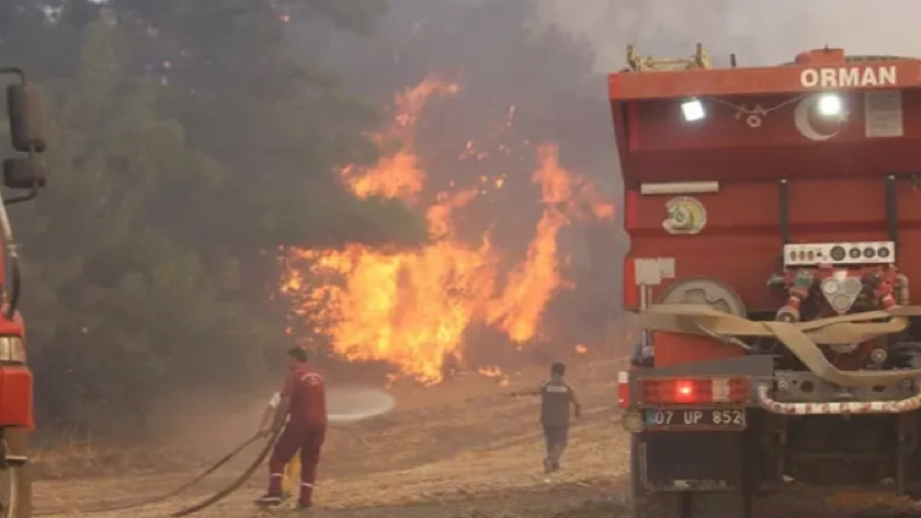 Manavgat'taki yangından kahreden haber