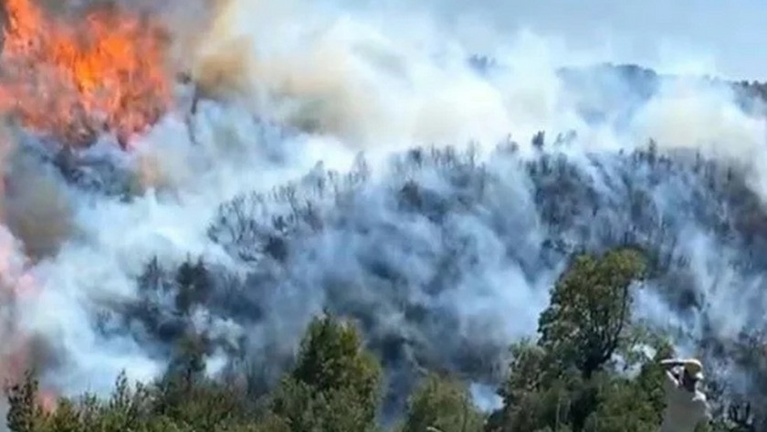 Aydın'ın Bozdoğan ilçesinde çıkan orman yangını, Muğla'ya sıçradı!