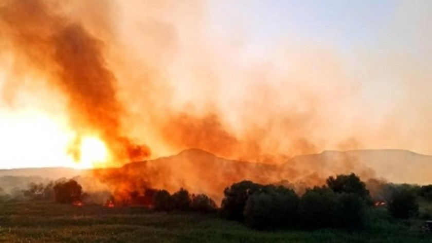 Ankara'nın Nallıhan ilçesinde ormanlık alanda yangın!