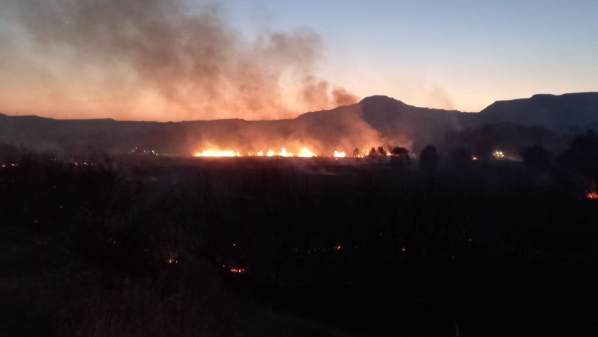 Ankara Nallıhan'daki yangının sebebi belli oldu