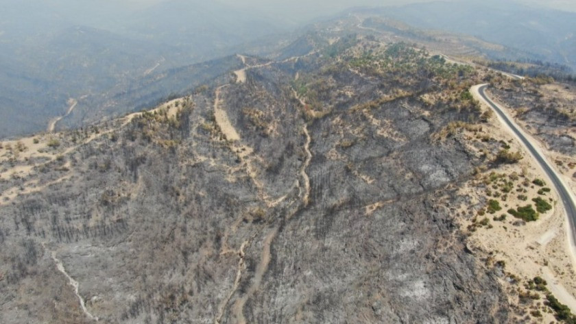 Antalya Manavgat'ta söndürülen alanlar havadan görüntülendi