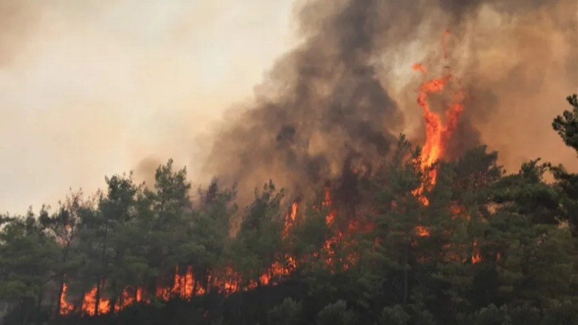 Orman yangınları ile ilgili bakanlıktan umutlandıran açıklama