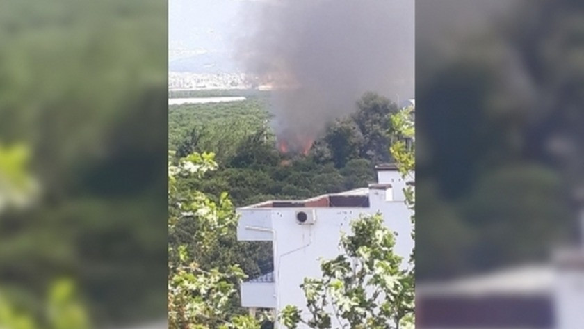 Antalya’nın Finike ilçesindeki yangın kontrol altına alındı
