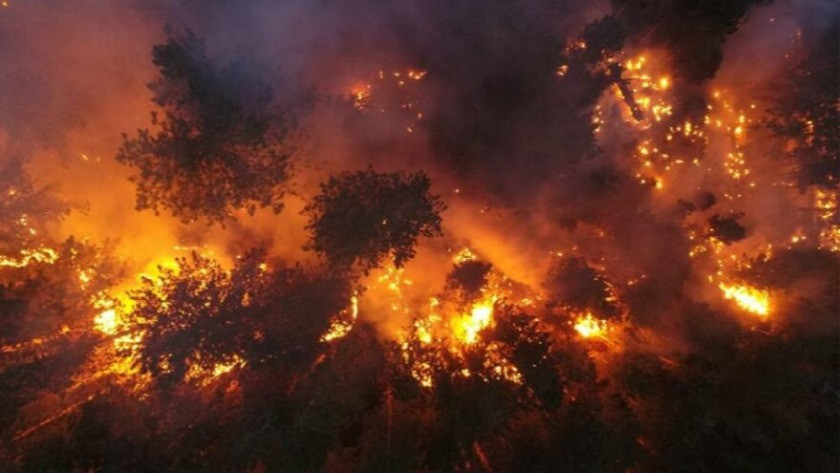 14 gündür süren Köyceğiz yangını kontrol altına alındı
