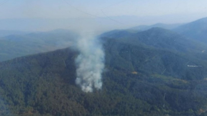 İzmir'in Bayındır ilçesinde orman yangını!