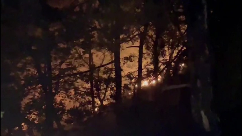 Bursa’da yıldırım düşen ormanlık alanda yangın çıktı