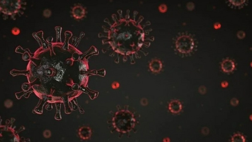 DSÖ’den yeni varyant uyarısı! 'Aşılara karşı dirençli'