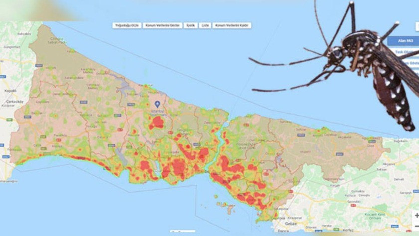 İstanbul’un sivrisinek üreme haritası