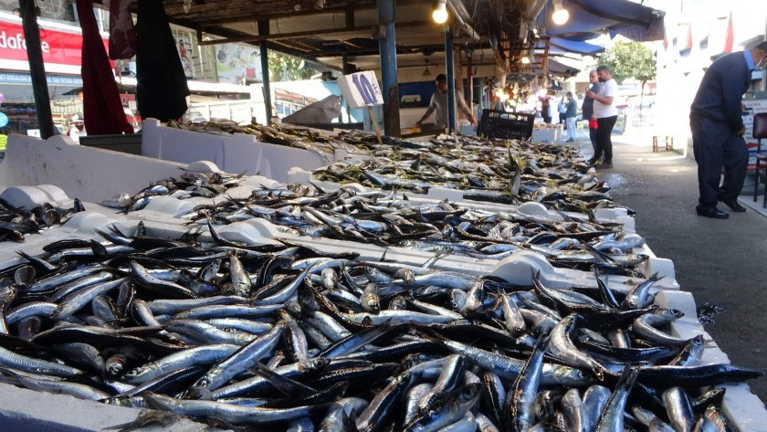 Trabzon' da Tezgahlar doldu taştı!  İşte balık fiyatları