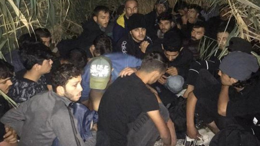 Antalya'da sazlıklar arasında saklanan 28 kaçak göçmen yakalandı