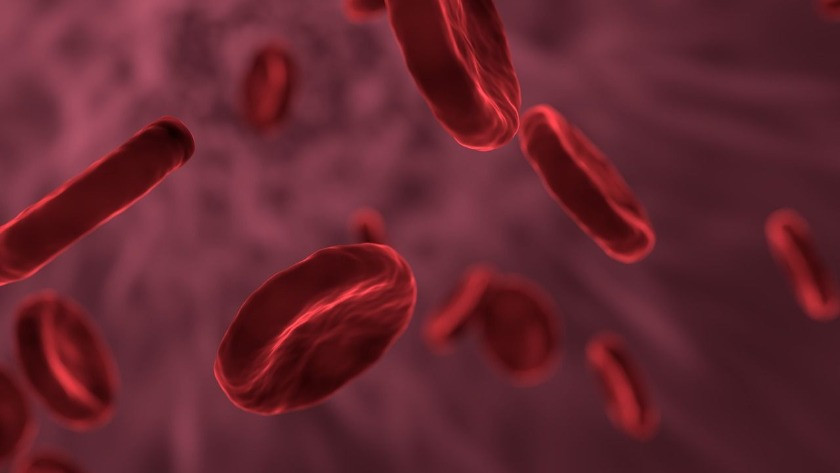 Enfeksiyona karşı en dirençli kan grubu ile en dirençsiz kan grubu