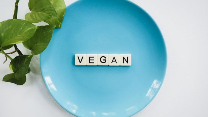 1 Kasım Dünya Vegan Günü: "Vicdani bir tutum"
