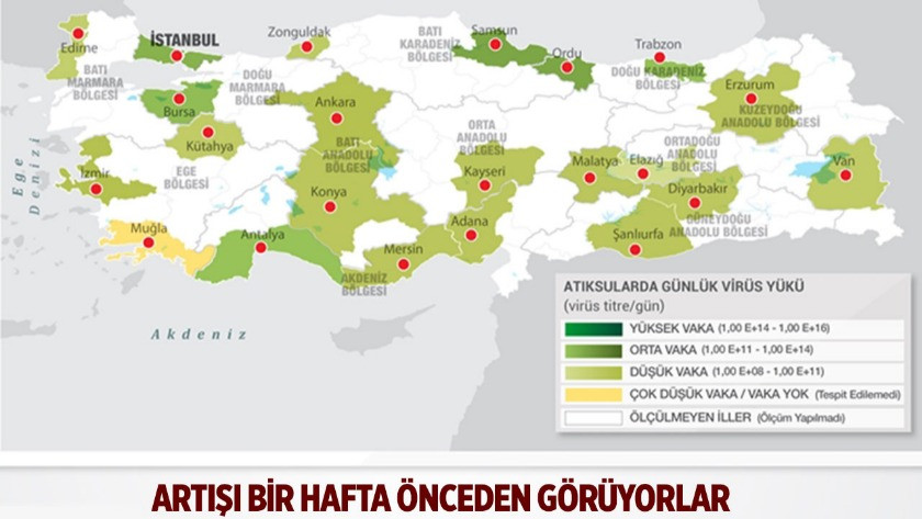 Kanalizasyon suyundan Türkiye'nin korona haritası çıkarıldı!