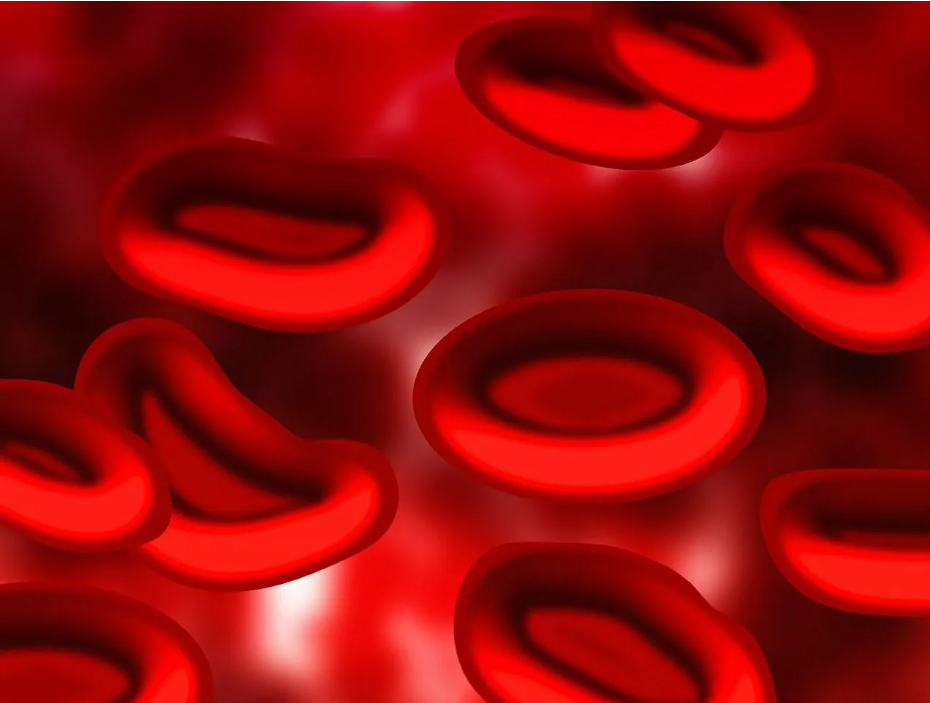 Covid-19 da en riskli kan grupları belli oldu - Sayfa 4