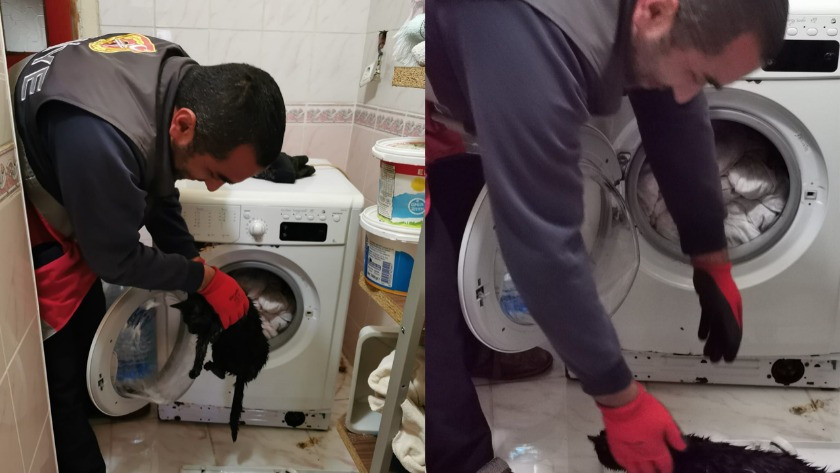 Beslediği kediyi yorganlarla çamaşır makinesine attı!