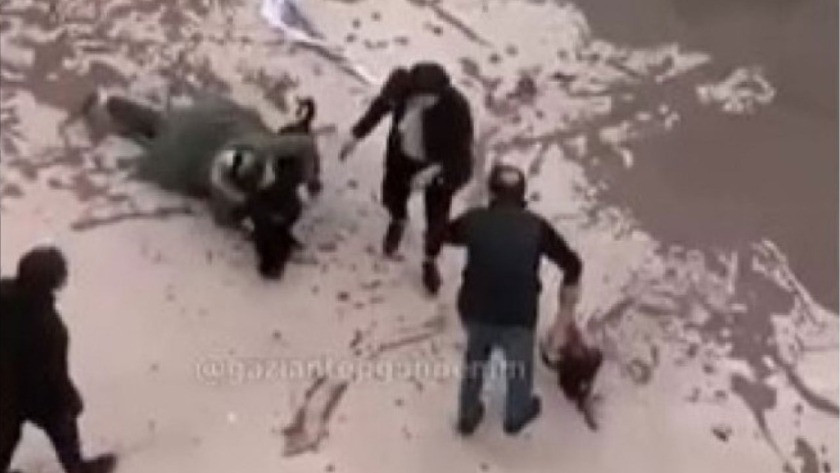 Gaziantep'teki pitbull saldırısında 2 tutuklama