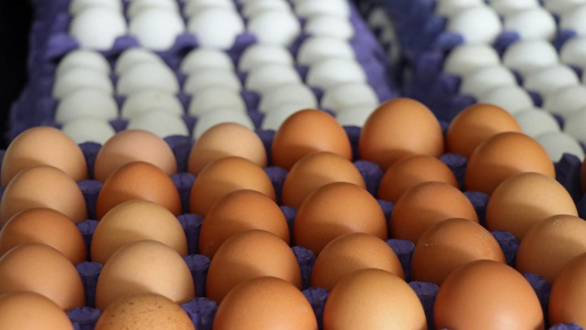 Büyük şok! Yumurtadaki sahtekarlığı bizzat yumurta üreticisi açıkladı