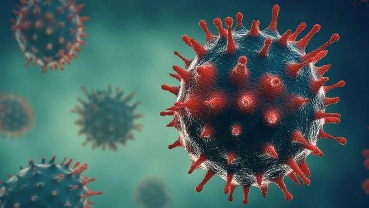 Koronavirüs geçirenler dikkat! 'Her 2 hastadan 1'inde bu hastalık kronikleşiyor - Sayfa 1