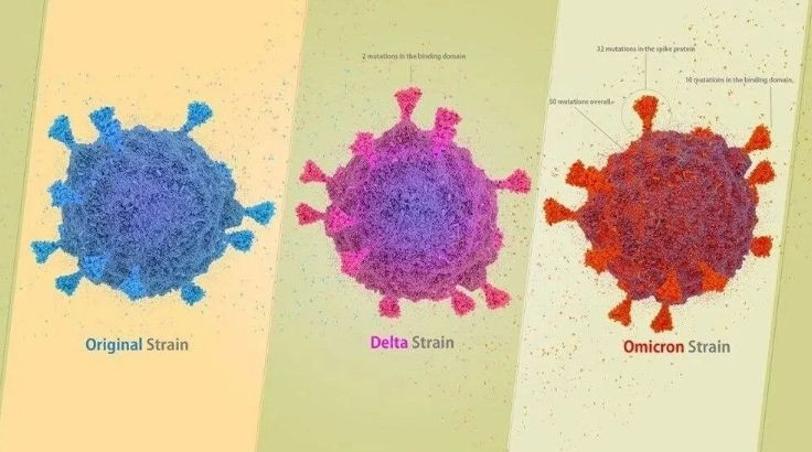 Bilim insanlarından korkutan Omicron uyarısı: 'Hiper bulaşıcı' - Sayfa 1