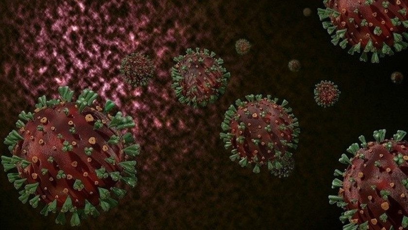 DSÖ umutları söndürdü: ‘Virüs evrim geçirmeyi sürdürüyor