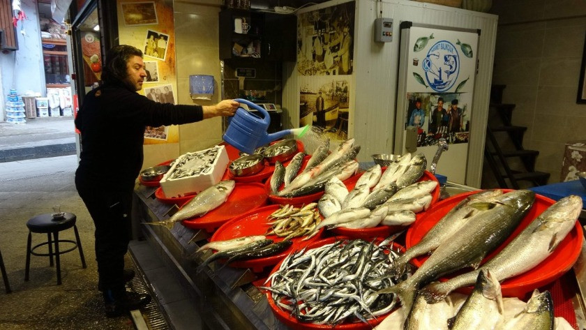 Trabzonlu balıkçıları hamsiler değil bir çift kofana sevindirdi