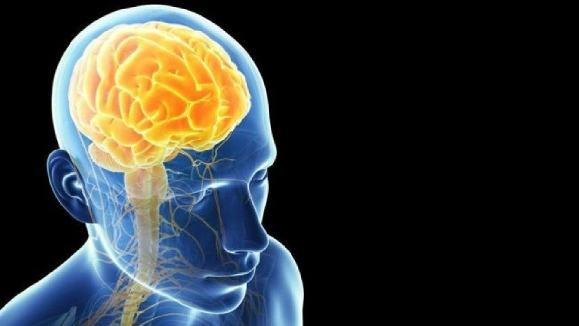 Beynin Hangi Kısmının Ağzımızdan Çıkanları Kontrol Ettiği Keşfedildi