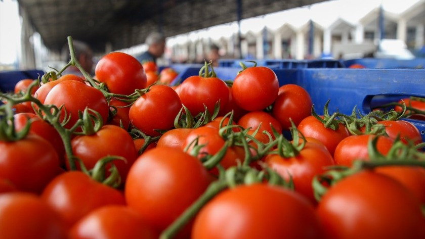 Ukrayna işgali Antalya Toptancı Hali'nde sebze fiyatlarını düşürdü