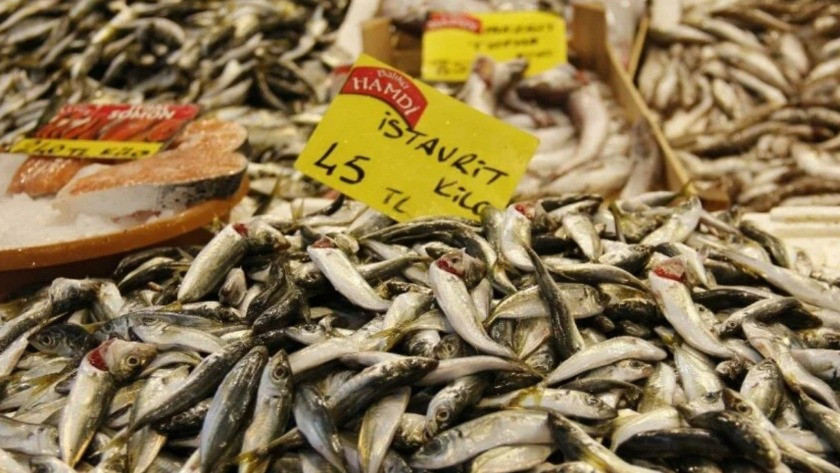 Balık fiyatlarında ciddi oranda artış oldu!