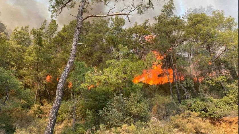Muğla'da orman yangını! Yangın yerleşim yerlerine yaklaştı