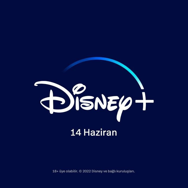 İşte Disney+ Türkiye için yayın tarihi ve Disney Plus Türkiye fiyatı - Sayfa 2