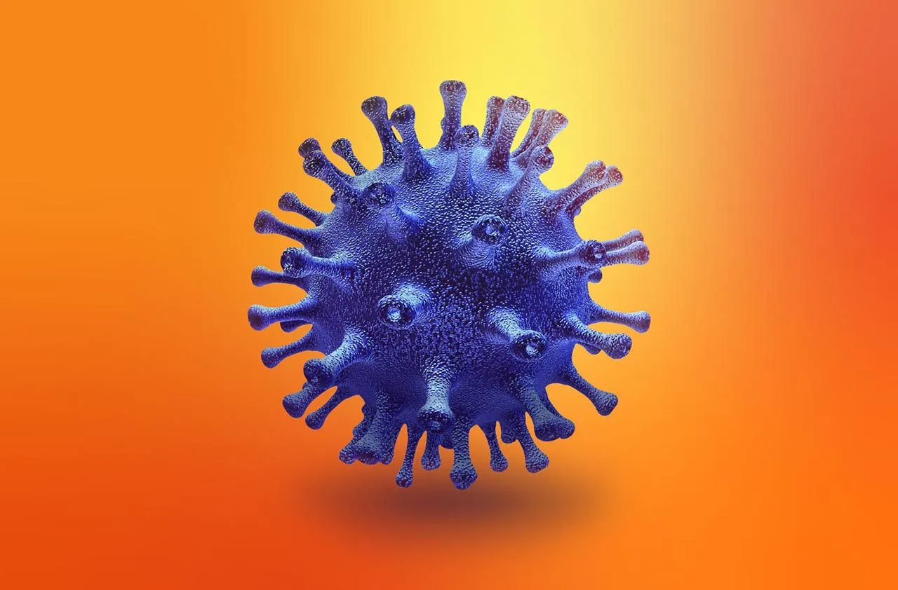 DSÖ'den koronavirüs ile ilgili önemli açıklama: Salgın ne zaman biter? - Sayfa 1