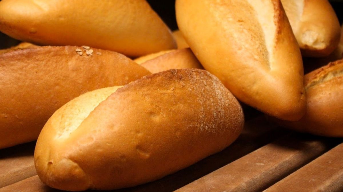 CHP'de belediye halk ekmek fiyatlarını düşürdü - Sayfa 1
